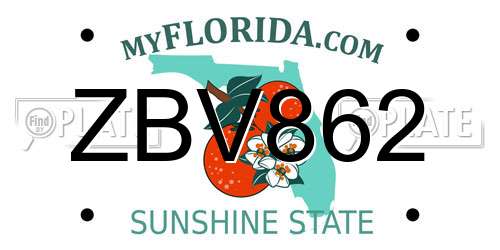 ZBV862 Florida License Plate
