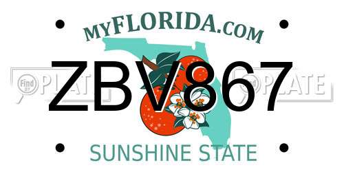ZBV867 Florida License Plate