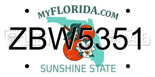 ZBW5351 Florida License Plate