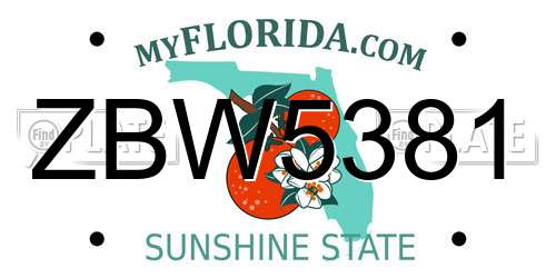 ZBW5381 Florida License Plate
