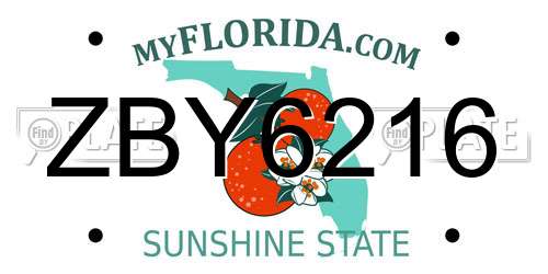 ZBY6216 Florida License Plate