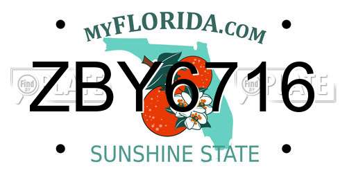 ZBY6716 Florida License Plate