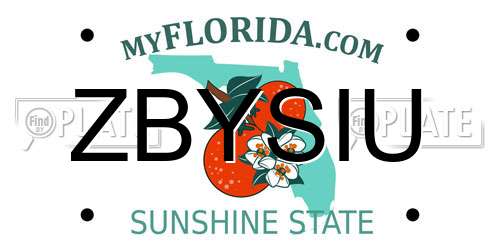 ZBYSIU Florida License Plate