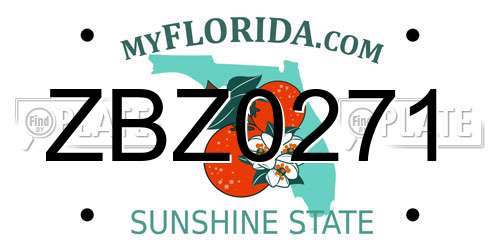 ZBZ0271 Florida License Plate
