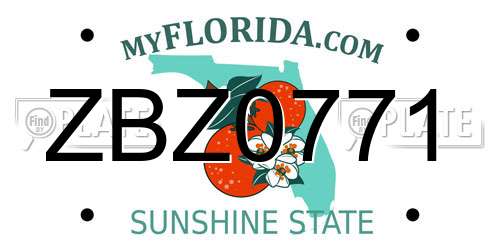 ZBZ0771 Florida License Plate