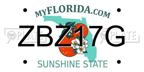 ZBZ17G Florida License Plate