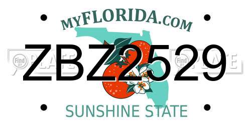 ZBZ2529 Florida License Plate