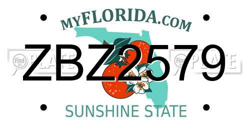 ZBZ2579 Florida License Plate