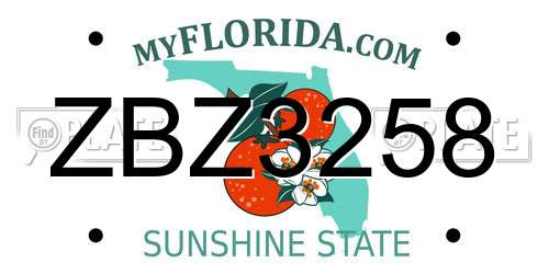 ZBZ3258 Florida License Plate