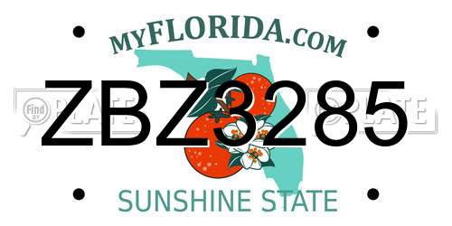 ZBZ3285 Florida License Plate