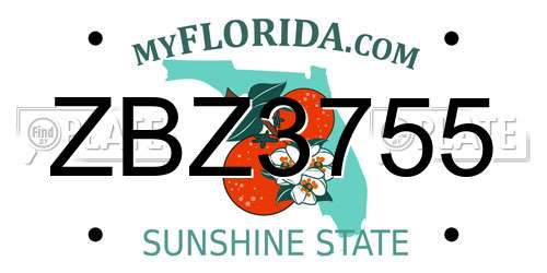 ZBZ3755 Florida License Plate