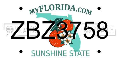 ZBZ3758 Florida License Plate
