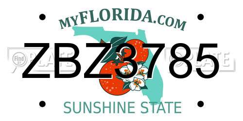 ZBZ3785 Florida License Plate