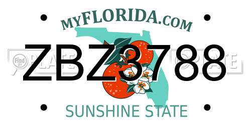 ZBZ3788 Florida License Plate