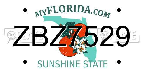 ZBZ7529 Florida License Plate