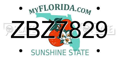 ZBZ7829 Florida License Plate