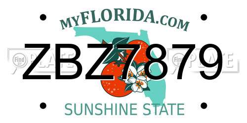 ZBZ7879 Florida License Plate