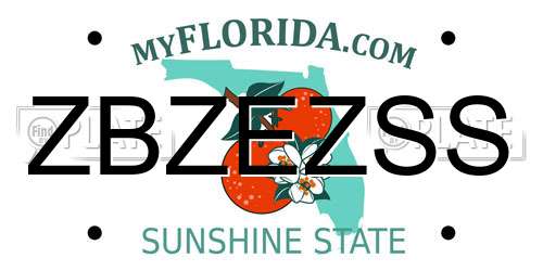 ZBZEZSS Florida License Plate