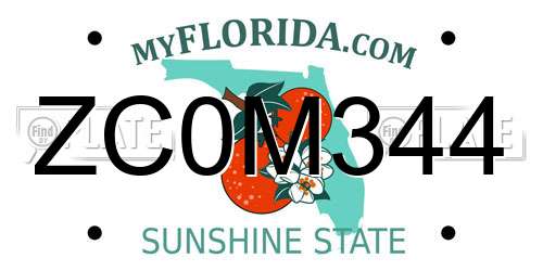 ZC0M344 Florida License Plate