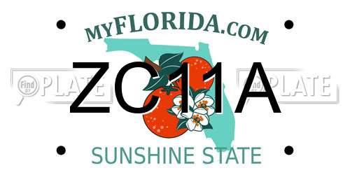 ZC11A Florida License Plate