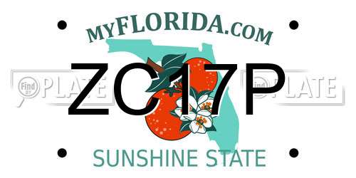ZC17P Florida License Plate