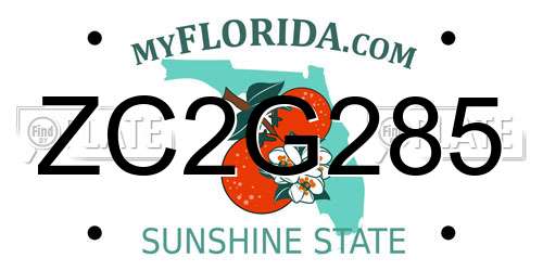 ZC2G285 Florida License Plate