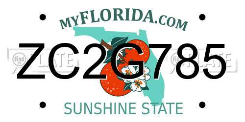 ZC2G785 Florida License Plate