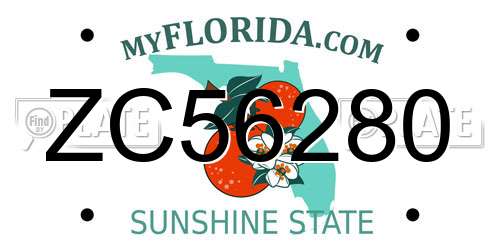ZC56280 Florida License Plate