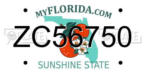 ZC56750 Florida License Plate