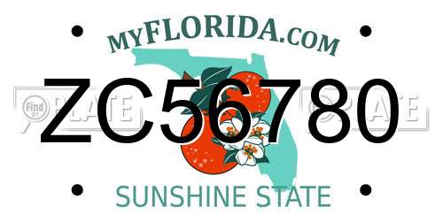 ZC56780 Florida License Plate