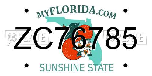 ZC76785 Florida License Plate