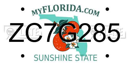 ZC7G285 Florida License Plate