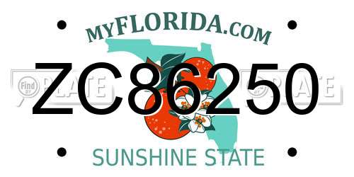 ZC86250 Florida License Plate