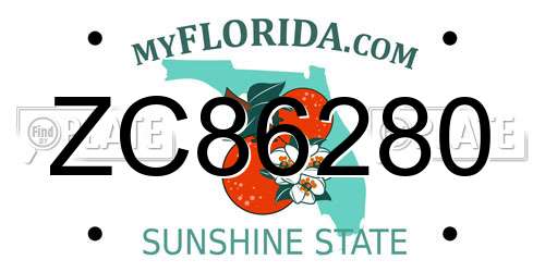 ZC86280 Florida License Plate