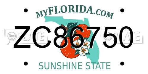 ZC86750 Florida License Plate