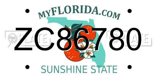ZC86780 Florida License Plate