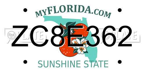 ZC8E362 Florida License Plate