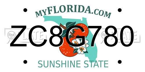 ZC8G780 Florida License Plate