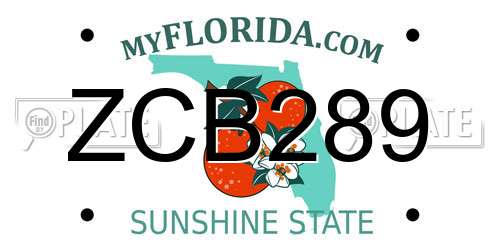 ZCB289 Florida License Plate