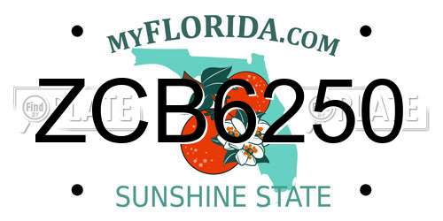 ZCB6250 Florida License Plate