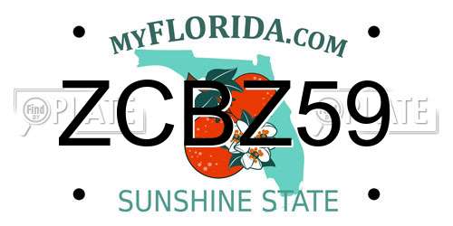 ZCBZ59 Florida License Plate