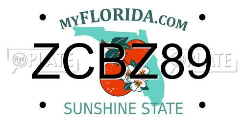 ZCBZ89 Florida License Plate