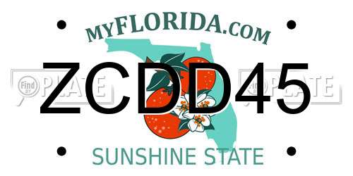 ZCDD45 Florida License Plate