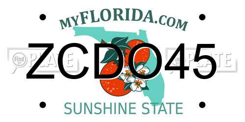 ZCDO45 Florida License Plate
