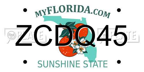 ZCDQ45 Florida License Plate