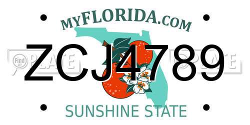 ZCJ4789 Florida License Plate