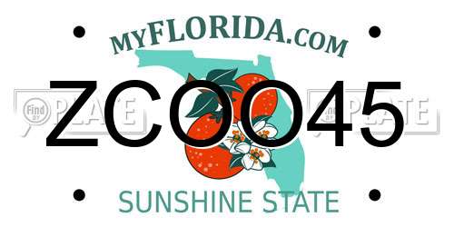 ZCOO45 Florida License Plate