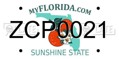 ZCP0021 Florida License Plate