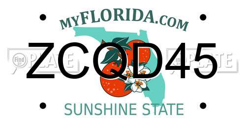ZCQD45 Florida License Plate
