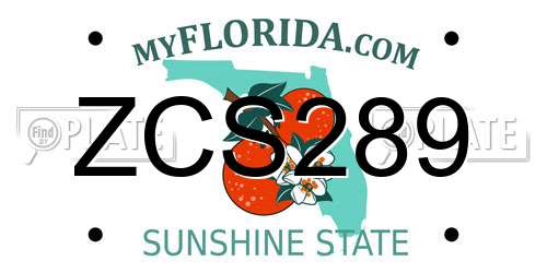 ZCS289 Florida License Plate